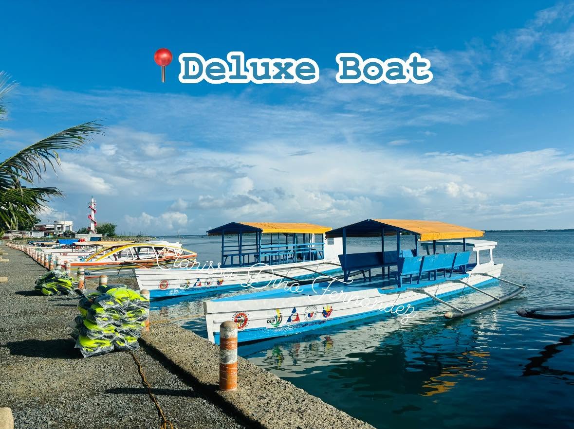 Island Tours
